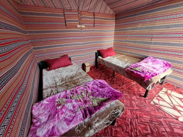 Wadi Rum Desert Heart Camp エクステリア 写真