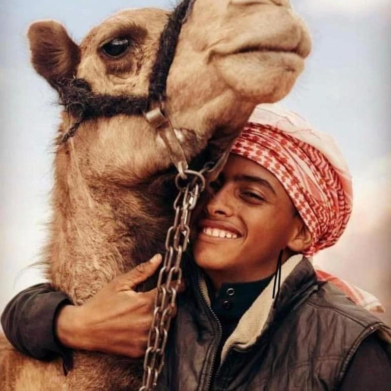 ホテル Wadi Rum Desert Heart Camp エクステリア 写真