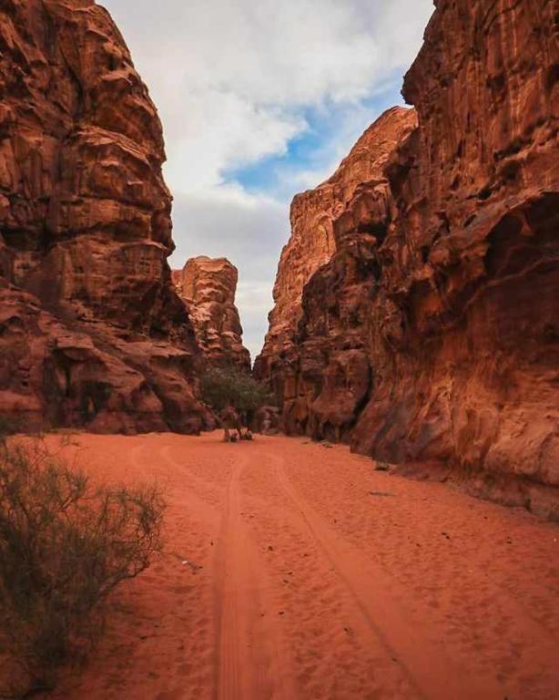 ホテル Wadi Rum Desert Heart Camp エクステリア 写真