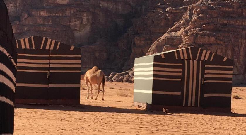 Wadi Rum Desert Heart Camp エクステリア 写真