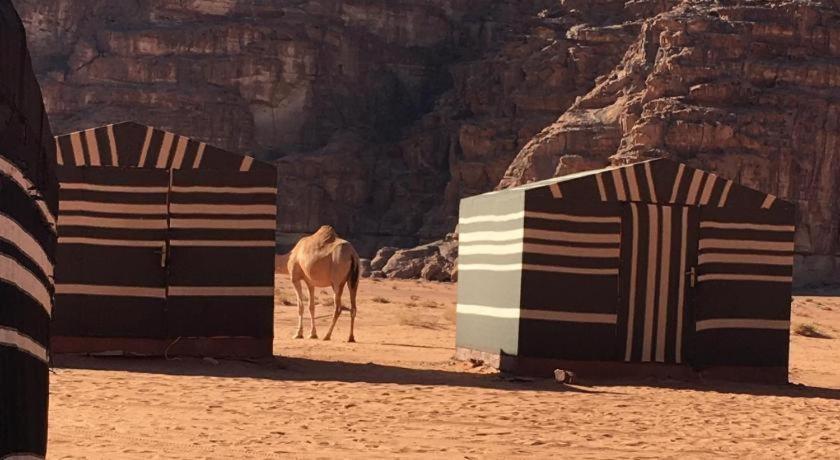 ホテル Wadi Rum Desert Heart Camp エクステリア 写真