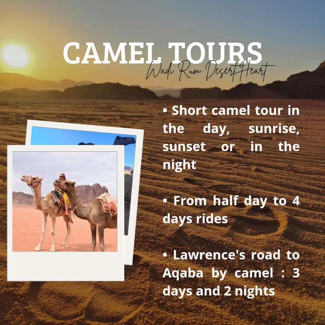 Wadi Rum Desert Heart Camp エクステリア 写真